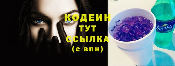 сатива Бердск