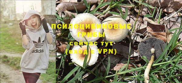 прущая мука Медногорск