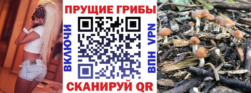 Псилоцибиновые грибы GOLDEN TEACHER Цимлянск